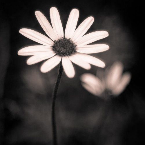 Website-Image-0015