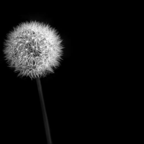 Website-Image-0113