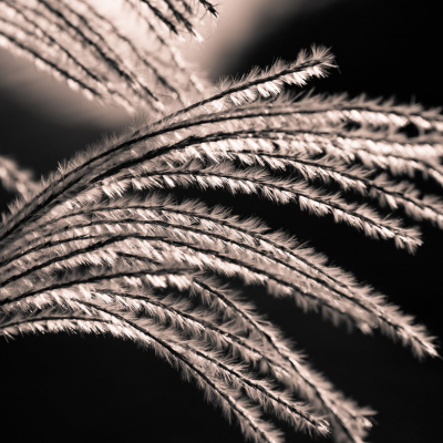 Website-Image-0021