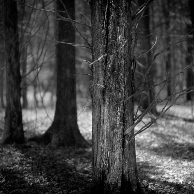 Website-Image-0110